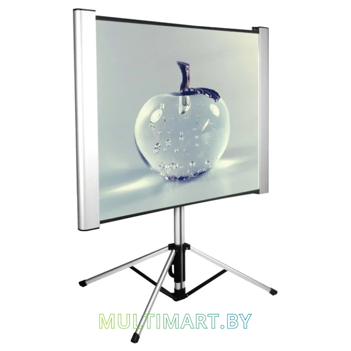 Проекционный экран CACTUS TriAlExpert 102x180 (CS-PSTALE-180X102)
